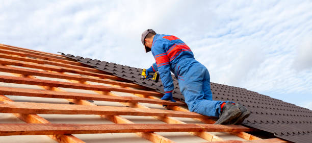 Best Asphalt Shingle Roofing  in Port Neches, TX
